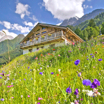 Le printemps et l'été sont la période idéale pour visiter les Alpes françaises