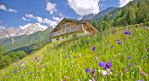 Le printemps et l'été sont la période idéale pour visiter les Alpes françaises