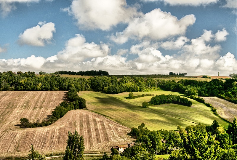 Countryside around Lectoure