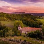 Sunset in Provence, a deeply pink and purple sky over a field of vines and forest