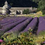 Vacances en Provence | Les meilleures maisons de vacances en Provence