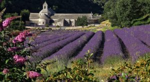 Vacances en Provence | Les meilleures maisons de vacances en Provence