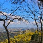 Découvrez Grasse, capitale provençale du parfum en France