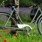 Découvrir la Provence à vélo