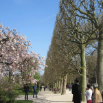 Jardin des Plantes de Paris