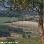 limoux-languedoc-roussillon