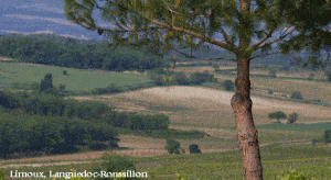 limoux-languedoc-roussillon
