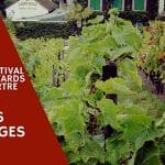 Fête du vin à Montmartre