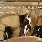 nausicaa boulogne sur mer