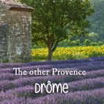 Vast fields of lavender and sunflowers in Drome, Provence