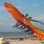 kite festival berck sur mer