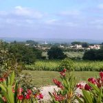 View over Saint-Remy-de-Provence, surrounded by vineyards and fields
