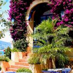 Entrance of the hotel Belles-Rives in Antibes with purple bougainvillea growing round the door