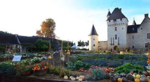 french vegetable garden