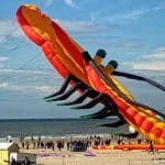 kite festival berck sur mer giant lobster kite