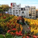 Les vignobles de Paris