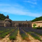 L'histoire de l'Abbaye de Sénanque, Provence