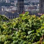 Monument en flammes : Incendie dans la tour de la cathédrale de Rouen