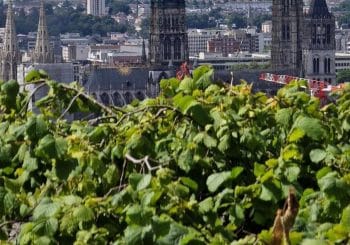 Monument en flammes : Incendie dans la tour de la cathédrale de Rouen