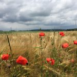 Musée du Char de Cambrai 1917 Cambrai France