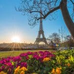 Eiffel Tower Paris under a blue sky, flowers in bloom around it, perfect spring day