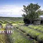 Pourquoi l'Ardèche est l'endroit idéal pour des vacances à vélo en France