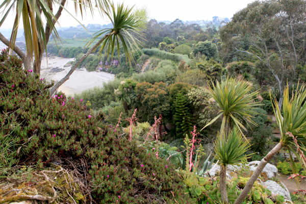Les jardins exotiques de Roscoff Les jardins de Roscoff