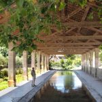 Long, covered out door ancient wash house with vines growing over the wooden roof, Fontvielle, France