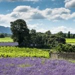 Que voir et faire à Grignan, Drôme, Rhône Alpes