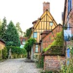 Cobbled street lined with half timbered houses, flowers growing everywhere up walls and in gardens