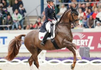 Sport équestre : Scandale du dressage peu avant les JO : 24 coups sur les pattes d&rsquo;un cheval