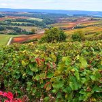 autumn-in-champagne-haut-marne
