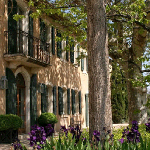 Visite de Saint Rémy de Provence