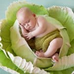 Bébés en France : du chou à la place de la cigogne hochet