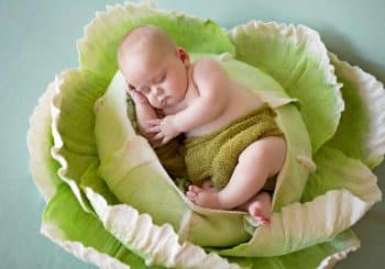 Bébés en France : du chou à la place de la cigogne hochet