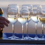 Science : Les vignes sous la chaleur : Un nouveau goût de vin dû au changement climatique ?