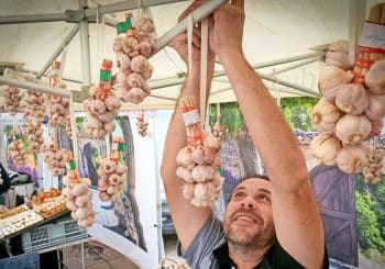 Marché français à Ludwigsburg : Savoir vivre dans la cour de la mairie