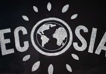 Concurrence pour Google et Bing : Ecosia et Qwant construisent un index européen des moteurs de recherche