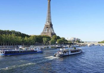 Augmentation de la qualité de l&rsquo;eau: les espèces de moules menacées dans Pariser ont découvert son