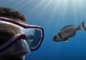 Compétences spéciales: oh vous l&rsquo;êtes! Les gens peuvent distinguer les gens