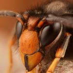 Baden-Württemberg: Kretschmann für Ausbau der Rüstungsindustrie im Südwesten