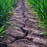 Climat: OCDE: Dürrefärfärben dans les 120 ans a doublé