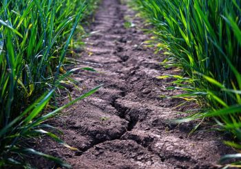 Climat: OCDE: Dürrefärfärben dans les 120 ans a doublé