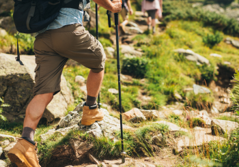 Cette plante toxique envahit certains sentiers de randonnée dans le sud de la France : un danger ignoré des promeneurs