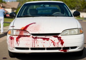 Voitures tachées de sang animal : des automobilistes sous le choc face à un possible rituel