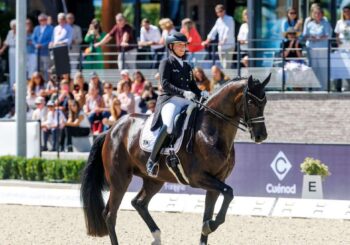 Championnat d&rsquo;Europe: Werth échoue à nouveau aux championnats d&rsquo;Europe de dressage sur le 10e single d&rsquo;or