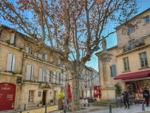 Villeneuve lez Avignon in Provence