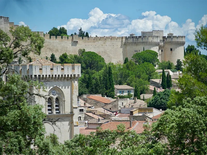 Photo © Jérémie le Maout, Destinations Grand Avignon Villeneuve Lez Avignon