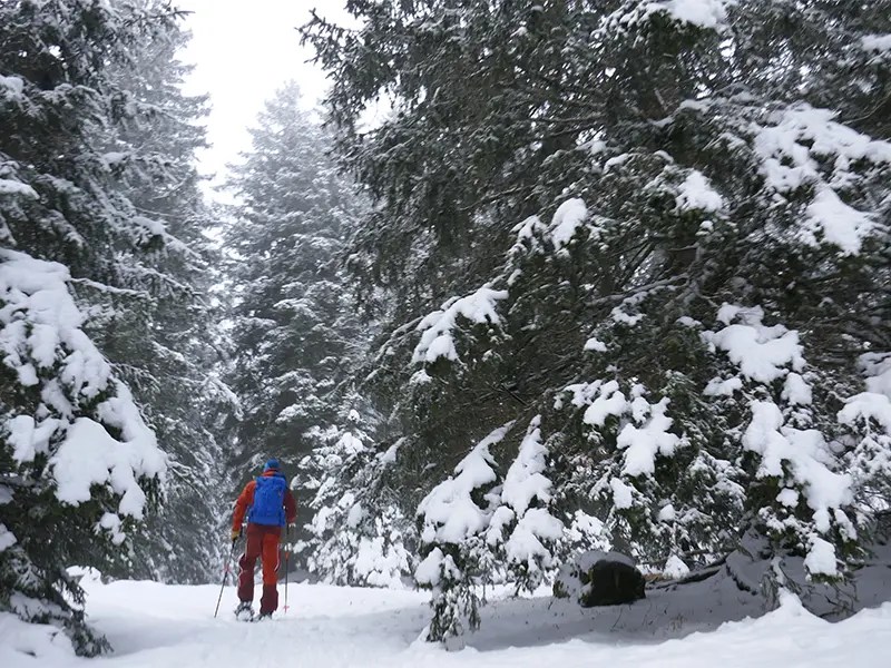 Raquettes à neige au Semnoz