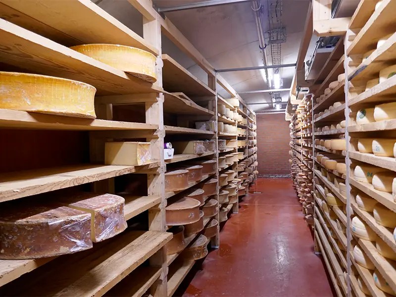 Affinage des fromages chez Joseph Pacard